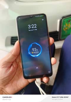 Vivo