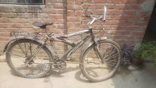 Phoenix Sports Bicycle