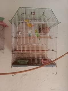urgent sel