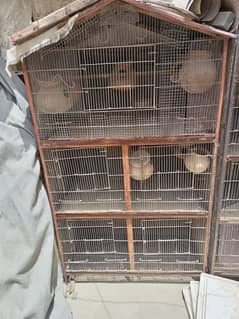 Bird's Cage (Pinjra)