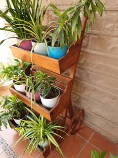 Handcrafted Oak Wood Trolley with Flower Pots