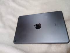 ipad mini 5