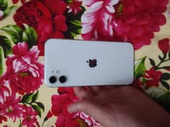 white colour condition 10by10