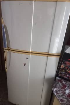 PEL