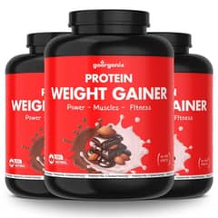 Protein powder