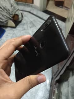 vivo