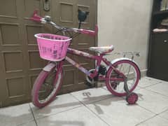 china original cycle
