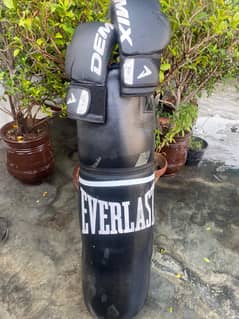 Boxing bag