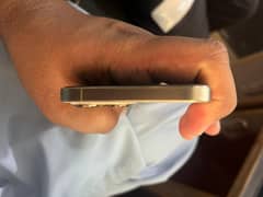 iphone 12 pro max ,