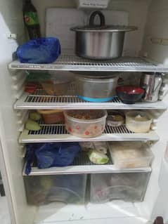full size extra larger  dawlence  fridge