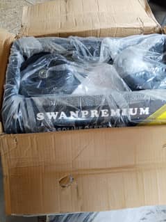 swan