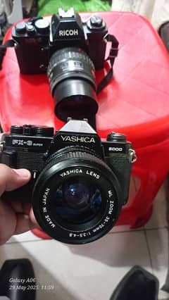 yashica