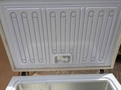 Waves freezer