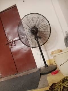 fan