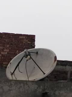 dish