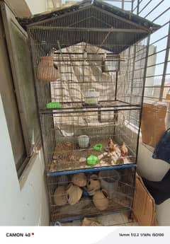 Massive Cage – Clean, Strong, and Ready to Use! VT