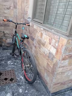 Giant cycle escape series