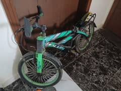 Cycles