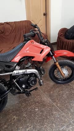 Sport Mini Bike