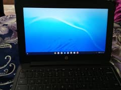 HP