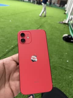 Iphone 12 pta approved