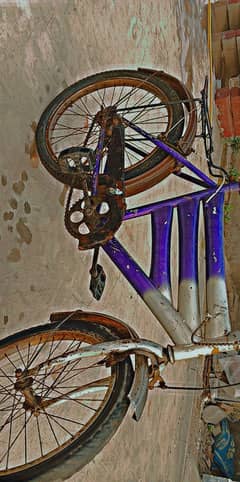 cycle for sale