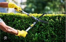 Garden Care
