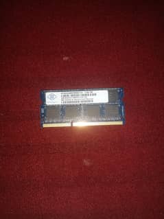 ram