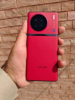 vivo
