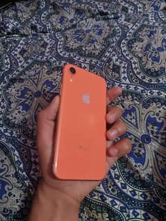 IPhone XR  Jv