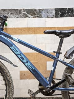 BDF Mountain Bicycle