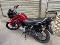 ybr 125