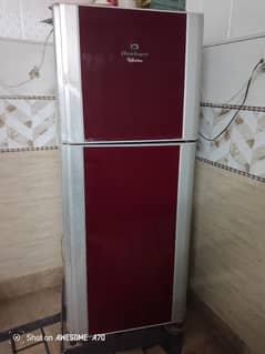 downlens fridge medium size