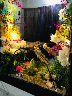 Wall