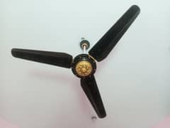 fans