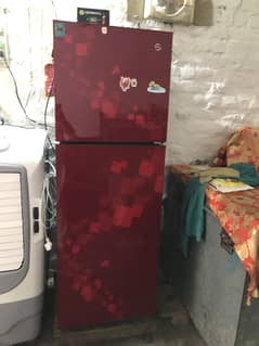 Pel refrigerator ha medium size