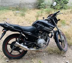 YBR 125