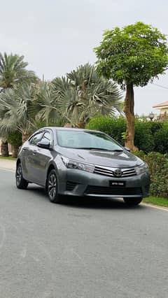 GLI 2016 MODEL B2b original grenty
