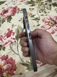 13 Pro Max PTA Approved iphone 