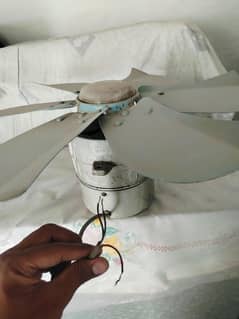 Cooler Fan AC