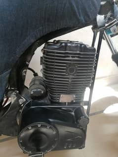 scoter