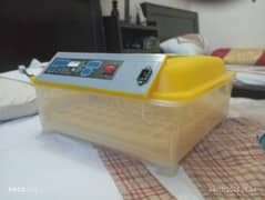 chick incubator