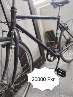 Sports bicycles
