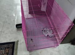 Cat/Dog/Animal Cage