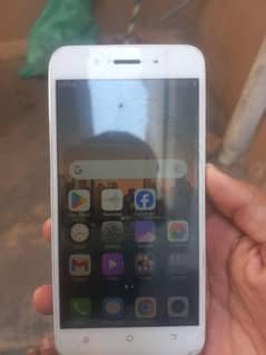 vivo y66 4/64 panel crack pta approve