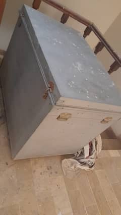 Trunk/Patti