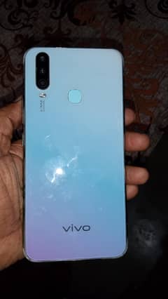 vivo