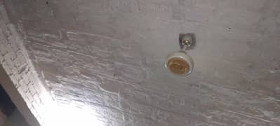 celling fan for sale
