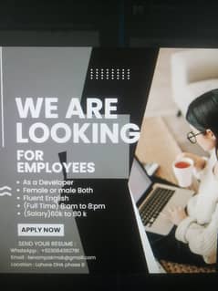developer