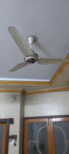 Ceiling Fans